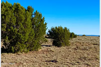 River Meadows Ranch Unit 3 Lot 204, Concho, AZ 85924 - Photo 12