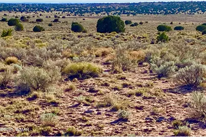 River Meadows Ranch Unit 3 Lot 204, Concho, AZ 85924 - Photo 18