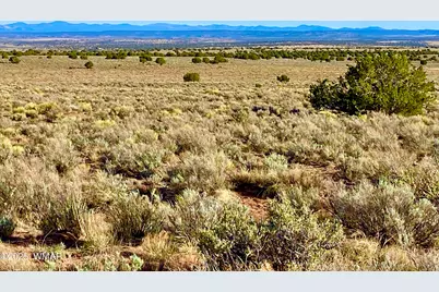 River Meadows Ranch Unit 3 Lot 204, Concho, AZ 85924 - Photo 10