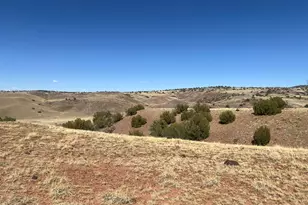 Tbd County Road N5335, Concho, AZ 85924 - Photo 1