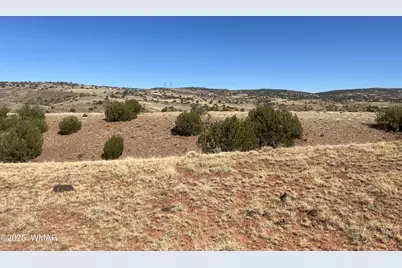 Tbd County Road N5335, Concho, AZ 85924 - Photo 2