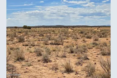 Tbd N Clyde Road, Snowflake, AZ 85937 - Photo 2