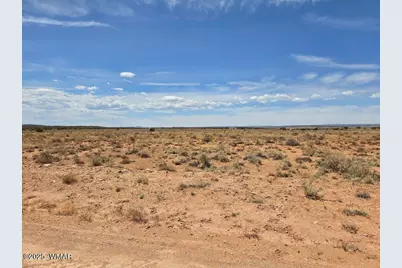 Tbd N Clyde Road, Snowflake, AZ 85937 - Photo 20