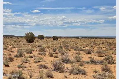 Tbd N Clyde Road, Snowflake, AZ 85937 - Photo 8