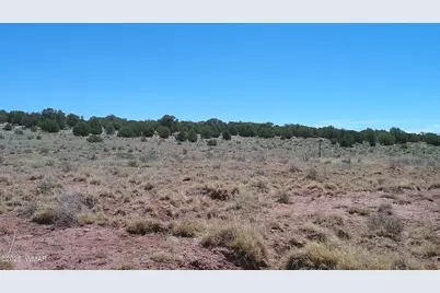 Tbd Rio Ranch, Concho, AZ 85924 - Photo 18