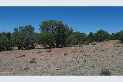 Tbd Rio Ranch, Concho, AZ 85924 - Photo 24
