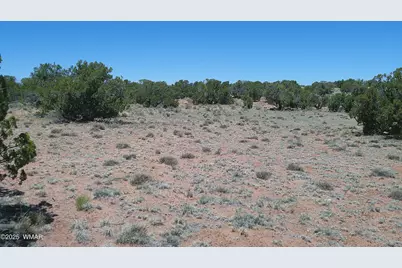 Tbd Rio Ranch, Concho, AZ 85924 - Photo 30