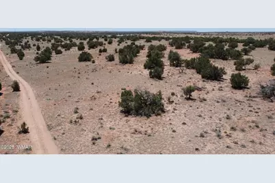 Tbd Rio Ranch, Concho, AZ 85924 - Photo 38