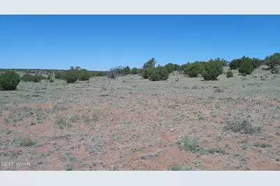 Tbd Rio Ranch, Concho, AZ 85924 - Photo 14