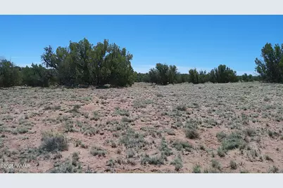 Tbd Rio Ranch, Concho, AZ 85924 - Photo 32