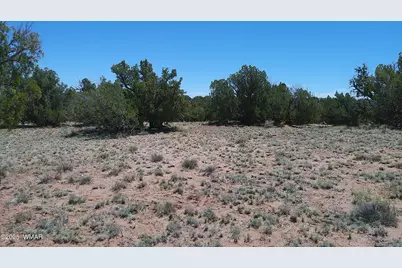 Tbd Rio Ranch, Concho, AZ 85924 - Photo 1