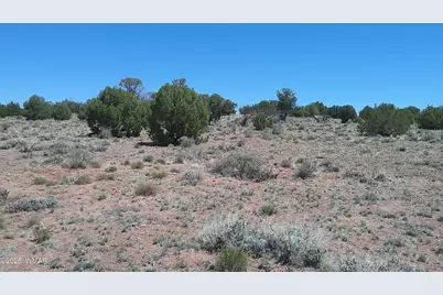 Tbd Rio Ranch, Concho, AZ 85924 - Photo 16