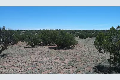 Tbd Rio Ranch, Concho, AZ 85924 - Photo 10