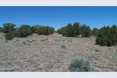 Tbd Rio Ranch, Concho, AZ 85924 - Photo 6