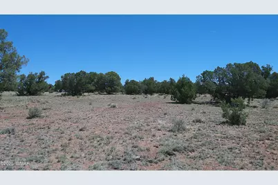 Tbd Rio Ranch, Concho, AZ 85924 - Photo 12