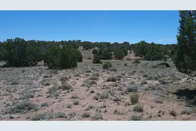 Tbd Rio Ranch, Concho, AZ 85924 - Photo 8