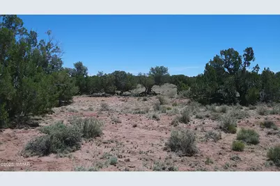 Tbd Rio Ranch, Concho, AZ 85924 - Photo 28
