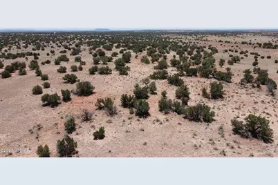 Tbd Rio Ranch, Concho, AZ 85924 - Photo 42
