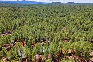 8575 Wild Horse Rd, Pinetop, AZ 85935 - Photo 30