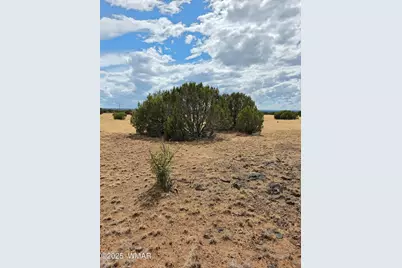 8770 Supancheck Road, Show Low, AZ 85901 - Photo 16