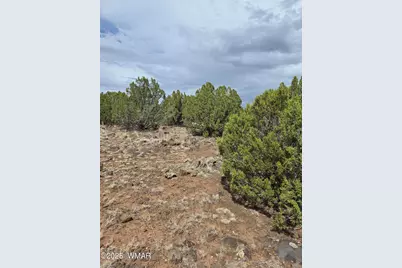 8770 Supancheck Road, Show Low, AZ 85901 - Photo 2