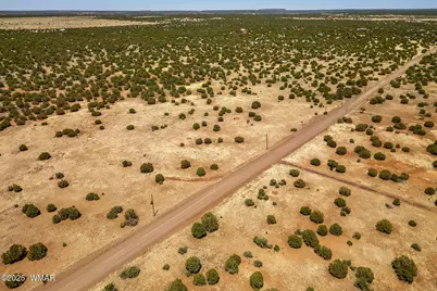 8770 Supancheck Road, Show Low, AZ 85901 - Photo 6