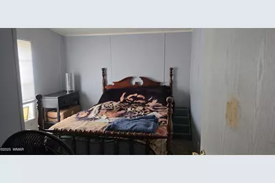 305 W Vista Drive, Taylor, AZ 85939 - Photo 20