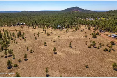 9321 Mountain Meadow Lane, Lakeside, AZ 85929 - Photo 10