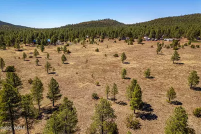 9321 Mountain Meadow Lane, Lakeside, AZ 85929 - Photo 12