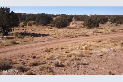 4596 El Dorado Road, Snowflake, AZ 85937 - Photo 12