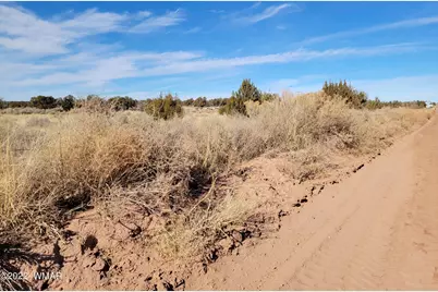 4596 El Dorado Road, Snowflake, AZ 85937 - Photo 34