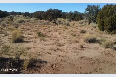 4596 El Dorado Road, Snowflake, AZ 85937 - Photo 6