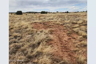 5506 Glasgow Drive, Snowflake, AZ 85937 - Photo 12