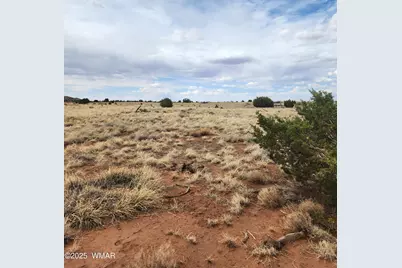 5506 Glasgow Drive, Snowflake, AZ 85937 - Photo 8