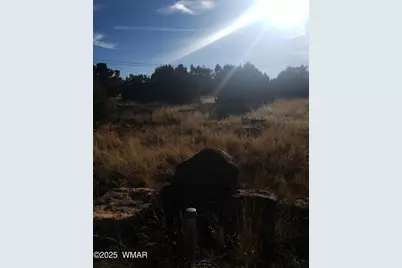 1786 Doughty Place, Show Low, AZ 85901 - Photo 4