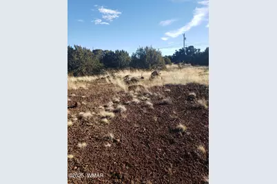 1786 Doughty Place, Show Low, AZ 85901 - Photo 1