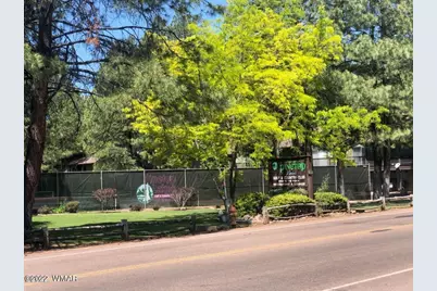 4660 Bucksprings Road, Pinetop, AZ 85935 - Photo 6