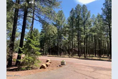 4660 Bucksprings Road, Pinetop, AZ 85935 - Photo 1