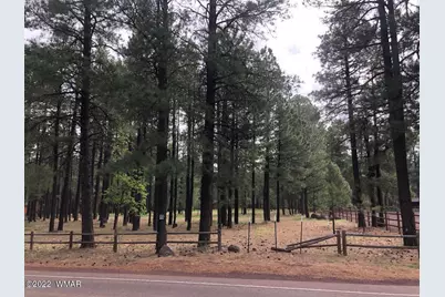 4660 Bucksprings Road, Pinetop, AZ 85935 - Photo 8