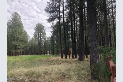4660 Bucksprings Road, Pinetop, AZ 85935 - Photo 4