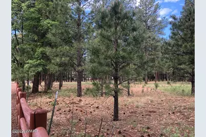 4660 Bucksprings Road, Pinetop, AZ 85935 - Photo 16
