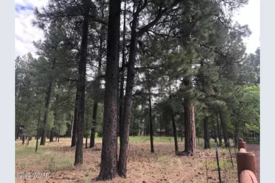 4660 Bucksprings Road, Pinetop, AZ 85935 - Photo 20