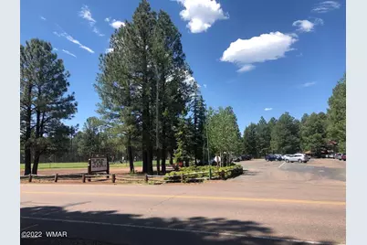 4660 Bucksprings Road, Pinetop, AZ 85935 - Photo 10