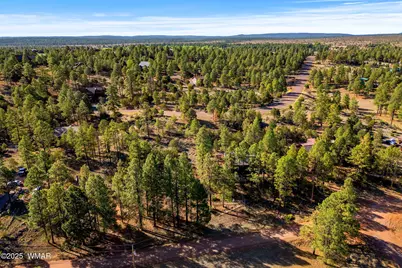 2794 Skyhawk Drive, Overgaard, AZ 85933 - Photo 12