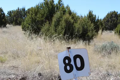 80 County Road 8620, Concho, AZ 85924 - Photo 2