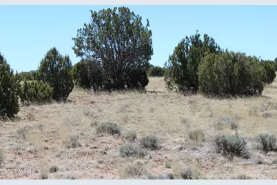 80 County Road 8620, Concho, AZ 85924 - Photo 10