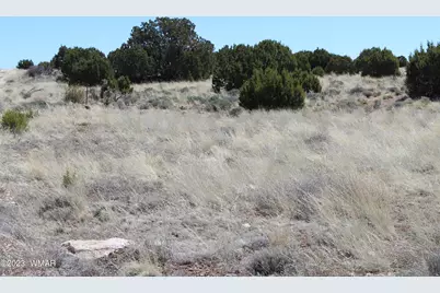 80 County Road 8620, Concho, AZ 85924 - Photo 1