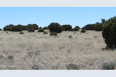 80 County Road 8620, Concho, AZ 85924 - Photo 14