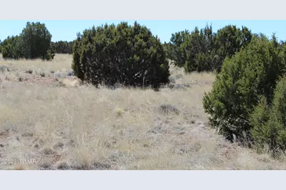 80 County Road 8620, Concho, AZ 85924 - Photo 4