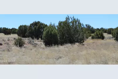 80 County Road 8620, Concho, AZ 85924 - Photo 6